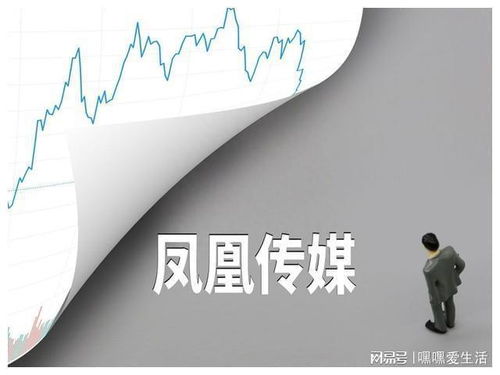 鳳凰傳媒股評 文化傳媒產(chǎn)業(yè)的璀璨明珠